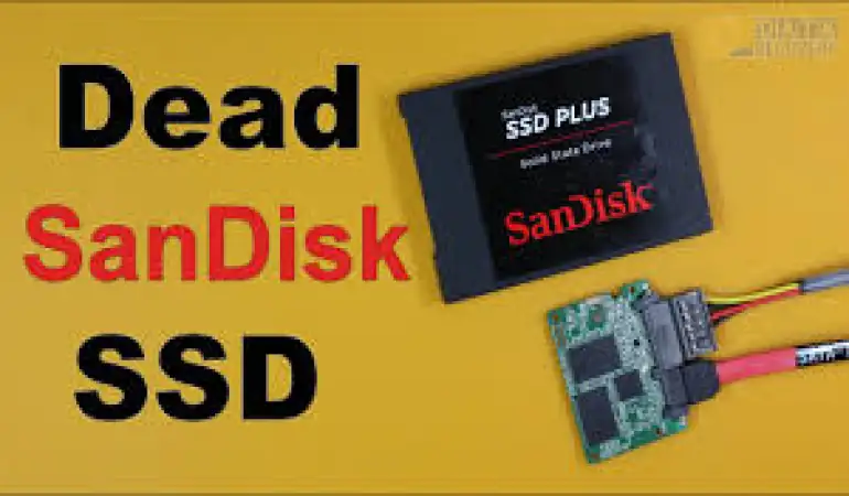 How to Recover Data from a Crashed SSD